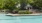 a swimming pool with greenery